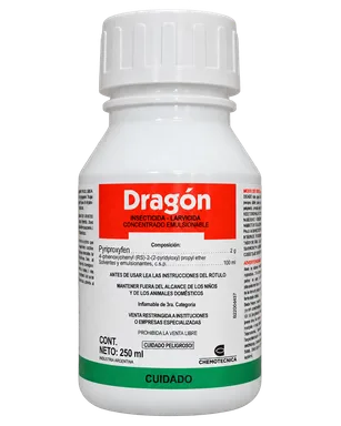DRAGON